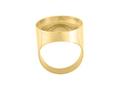 Chevalière Portamonete 20 Frs, Oro Giallo 18 Carati. Ref. 08006 - Immagine Standard - 1